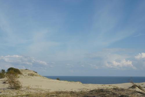 DSC03900.JPG