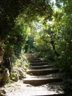 DSC05673.JPG