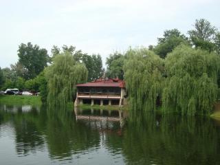 DSC07001.JPG
