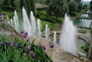 DSC01333.JPG