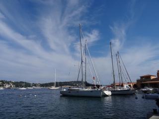 DSC02237.JPG