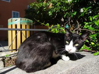 DSC02233.JPG