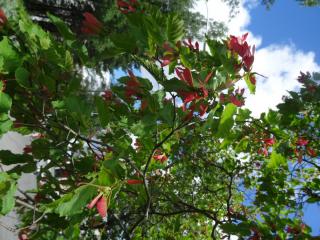 DSC03057.JPG