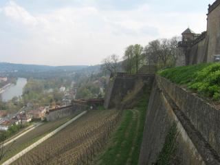 новая бавария 242.jpg