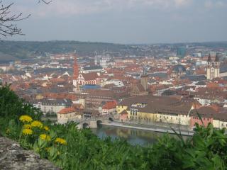 новая бавария 240.jpg