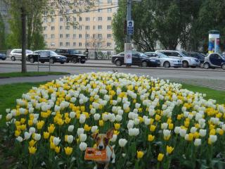 Австрия-Словения 268.jpg