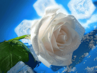 рррр.gif