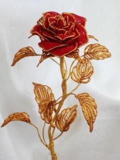 розы5.jpg
