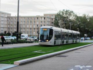 IMG_1379.JPG