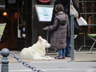 IMG_1239.JPG