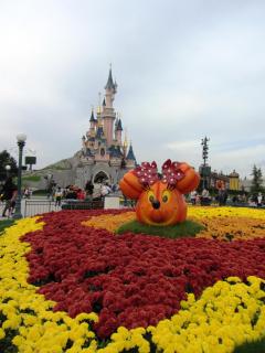 IMG_1641.JPG