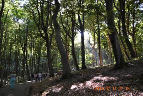 DSC_5773.jpg