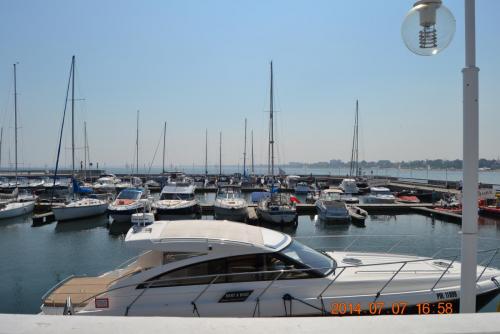 DSC_5016.jpg