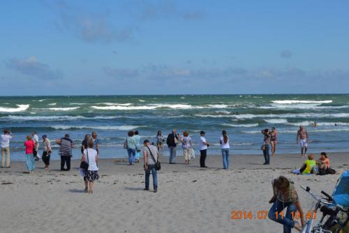 DSC_5733.jpg