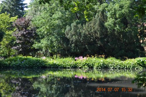 DSC_4958.jpg