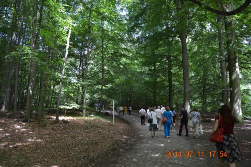DSC_5704.jpg