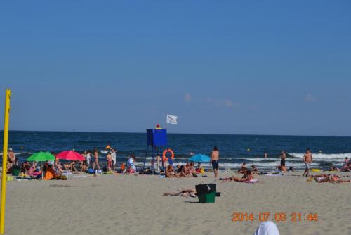DSC_5423.jpg