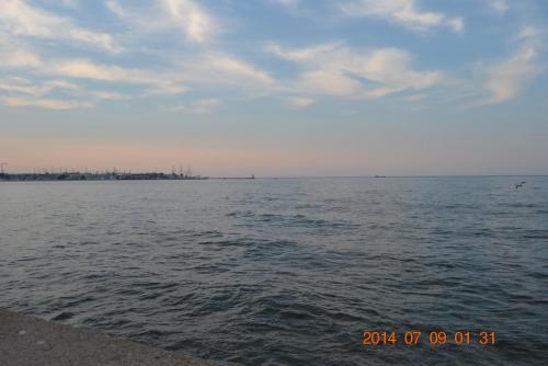 DSC_5332.jpg