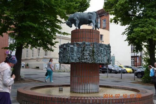 DSC_5886.jpg