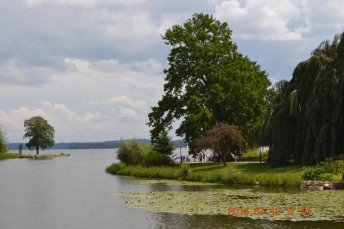 DSC_5958.jpg