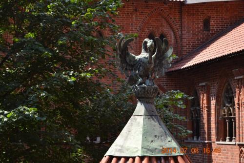 DSC_5183.jpg