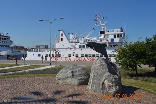 DSC_5406.jpg