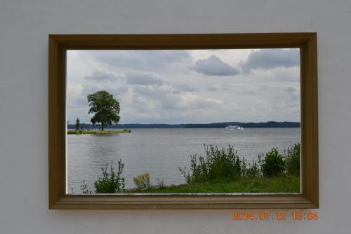 DSC_5977.jpg