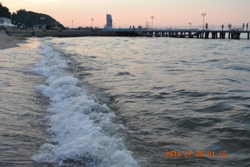 DSC_5362.jpg