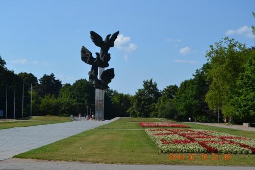 DSC_5511.jpg