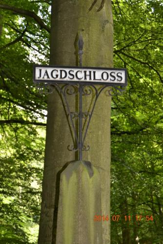 DSC_5705.jpg
