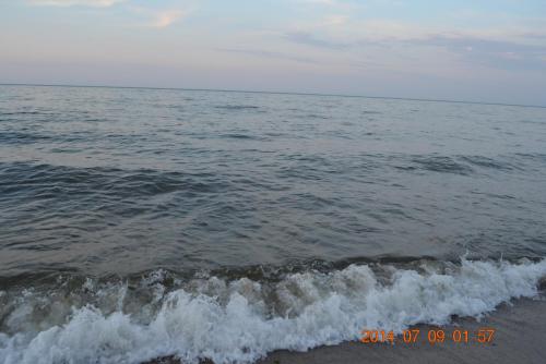DSC_5368.jpg
