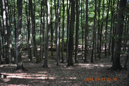 DSC_5774.jpg