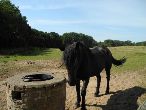 DSCN5605.JPG