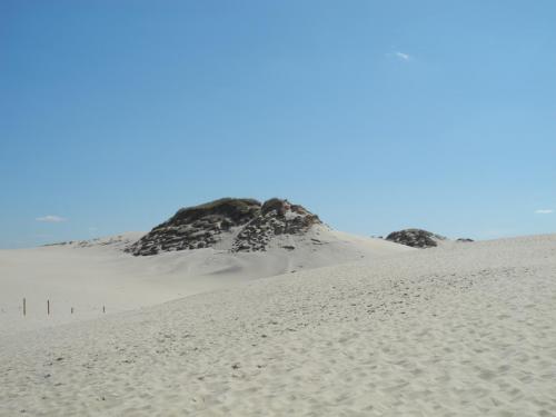 DSCN5465.JPG