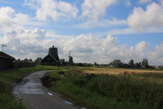 IMG_7694.JPG