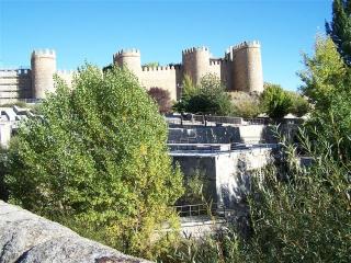 100_0037.JPG