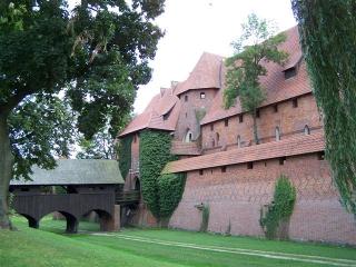 100_9911.JPG