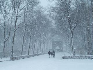 100_7553.JPG