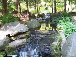 100_9705.JPG