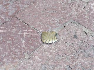 100_9288.JPG