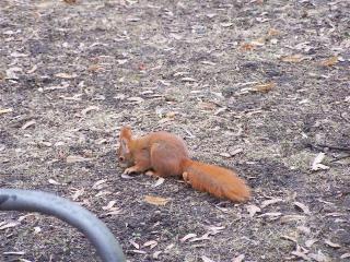 100_0188.JPG