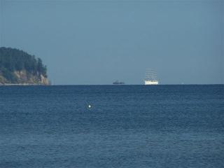 100_9783.JPG