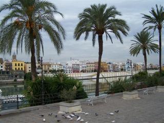 100_4705.JPG