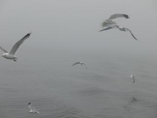 IMG_2744.JPG