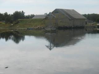 IMG_2782.JPG