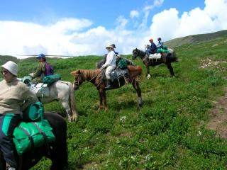 алтай 0891.jpg