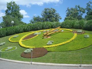 DSC00820.JPG