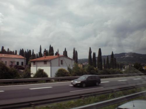 P7250134.JPG