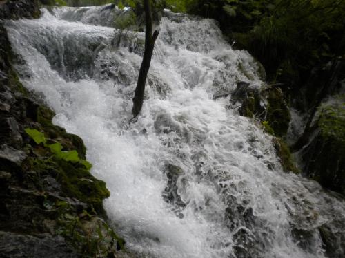 DSCN8009.JPG