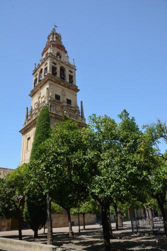 DSC_1598.JPG